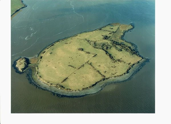m_Shore-Island-Shannon-Estuary-Co